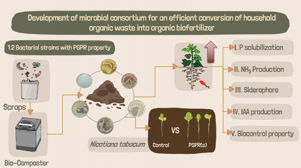 วช.หนุนทีมวิจัย ม.มหิดล พัฒนากลุ่มจุลินทรีย์ที่มีประสิทธิภาพสูงในการเปลี่ยนขยะอินทรีย์ไปเป็นปุ๋ยอินทรีย์ และพัฒนาเทคโนโลยีต้นแบบเครื่องผลิตปุ๋ยอินทรีย์แบบอัตโนมัติ ผลิตปุ๋ยได้ภายใน 24 ชั่วโมง  เพื่อช่วยลดปัญหาขยะและลดการนำเข้าเทคโนโลยีราคาแพงจากต่างประเทศ