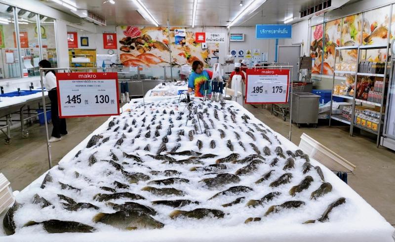 แม็คโครเคียงข้างเกษตรกรไทย จับมือพาณิชย์และประมงจังหวัดสงขลา รับซื้อปลากะพงกว่า 30000 กิโลกรัมจากภาคใต้ แก้ปัญหาราคาตกต่ำ