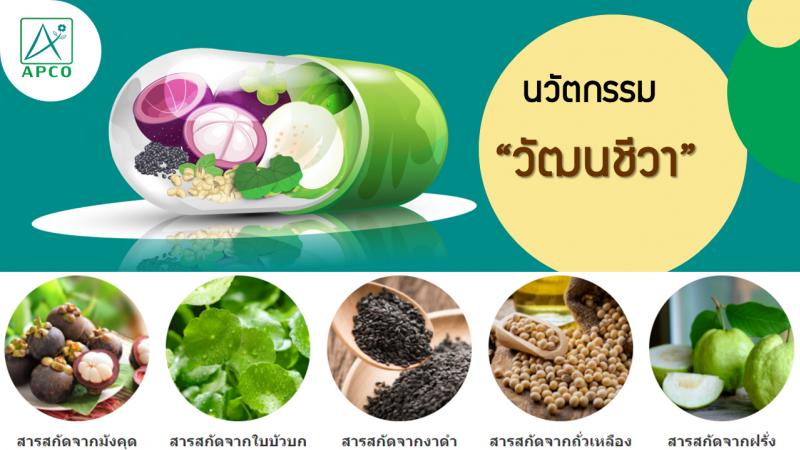 “วัฒนชีวา” เผยสถิติคนไทยอายุยืนเกินค่าสถิติโลกและในเอเชีย