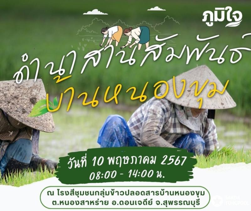 “ดำนาสานสัมพันธ์ บ้านหนองขุม” ร่วมรื้อฟื้นวัฒนธรรมการดำนาปลูกข้าวแบบไทย พร้อมจำหน่ายข้าวปลอดสารพิษสนับสนุนทุนสร้างวิทยาลัยสงฆ์ฯ สุพรรณบุรี