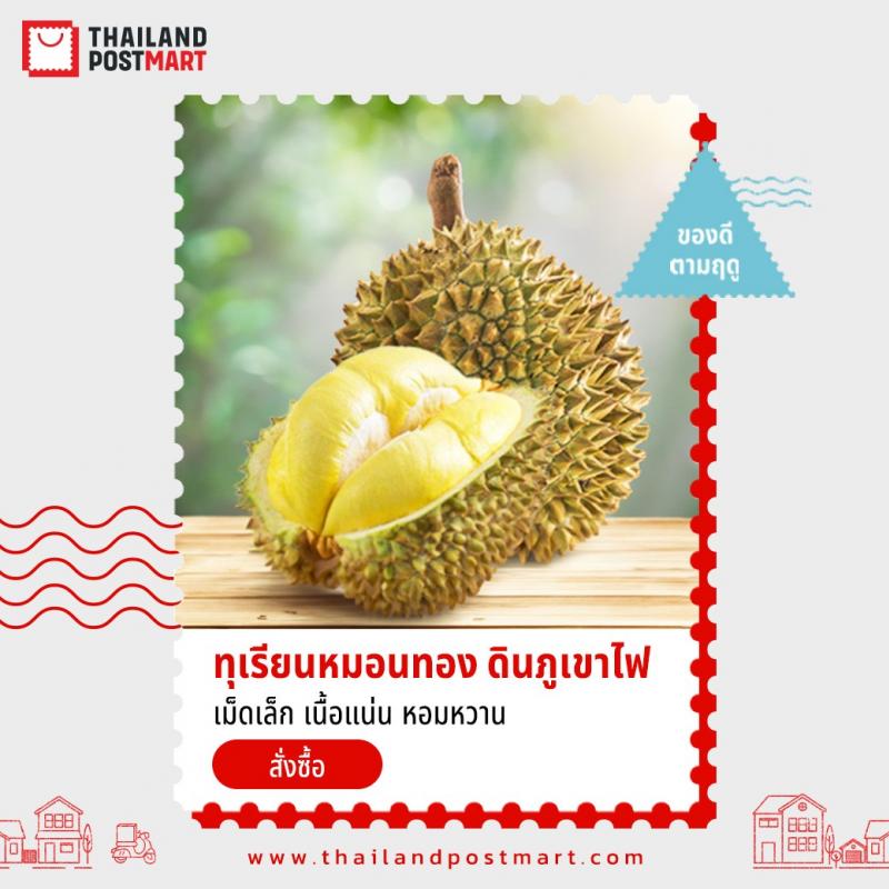 ต้องลอง!! ไปรษณีย์ไทย เปิดจำหน่าย “ทุเรียนหมอนทองดินภูเขาไฟศรีสะเกษ” ตัวท็อปและของดีประจำซีซั่น “ลูกใหญ่ เนื้อแน่น ส่งตรงจากสวน” จ.ศรีสะเกษ สั่งได้ที่ ThailandPostMart