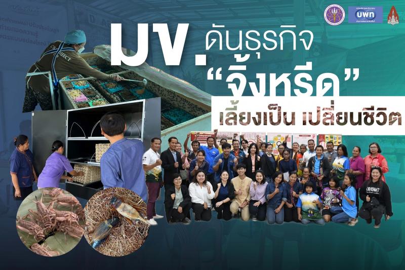 มข. ดันธุรกิจ “จิ้งหรีด” เลี้ยงเป็น เปลี่ยนชีวิต มข. ดันธุรกิจ “จิ้งหรีด” เลี้ยงเป็น เปลี่ยนชีวิต