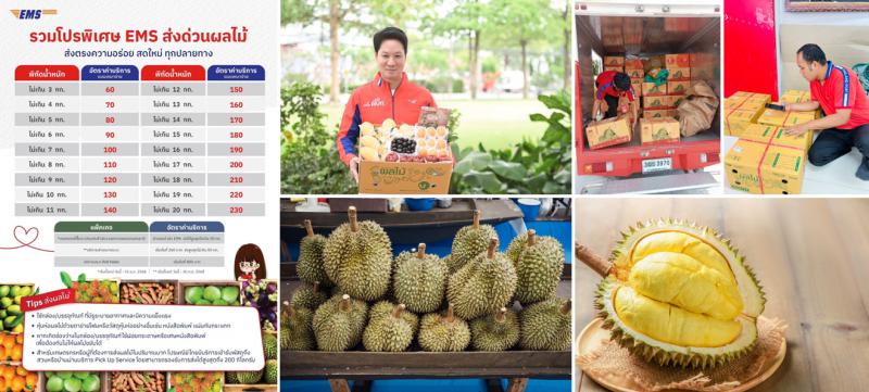 ไปรษณีย์ไทย รุกส่งผลไม้ภาคตะวันออกรับผลผลิตพุ่งเฉียด 30% พร้อมรองรับดีมานด์การส่ง และการบริโภคด้วย EMS ส่งด่วนผลไม้ ส่งสดจากสวนถึงมือประชาชนทั่วประเทศ ไปรษณีย์ไทย รุกส่งผลไม้ภาคตะวันออกรับผลผลิตพุ่งเฉียด 30% พร้อมรองรับดีมานด์การส่ง และการบริโภคด้วย EMS ส่งด่วนผลไม้ ส่งสดจากสวนถึงมือประชาชนทั่วประเทศ