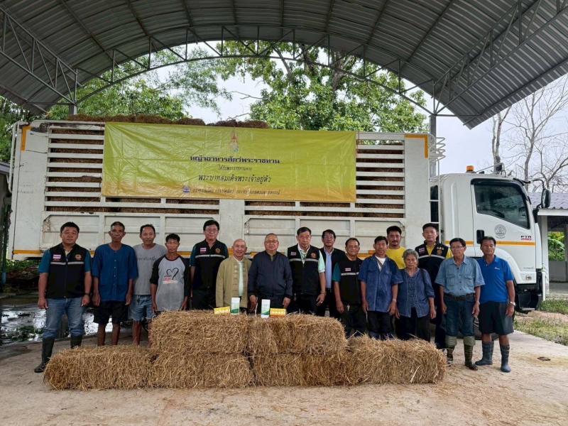 กรมปศุสัตว์เร่งช่วยเกษตรกรเลี้ยงสัตว์ใน 8จังหวัดประสบภัยพายุ “วิภา” มอบอาหารสัตว์พระราชทาน อพยพสัตว์เกือบ 6 หมื่นตัว – เฝ้าระวังโรคระบาดสัตว์เข้มข้น กรมปศุสัตว์เร่งช่วยเกษตรกรเลี้ยงสัตว์ใน 8จังหวัดประสบภัยพายุ “วิภา” มอบอาหารสัตว์พระราชทาน อพยพสัตว์เกือบ 6 หมื่นตัว – เฝ้าระวังโรคระบาดสัตว์เข้มข้น