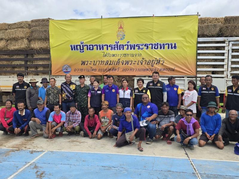 กรมปศุสัตว์ระดมเจ้าหน้าที่ปศุสัตว์เร่งฟื้นฟูสุขภาพสัตว์ในพื้นที่ชายแดน กรมปศุสัตว์ระดมเจ้าหน้าที่ปศุสัตว์เร่งฟื้นฟูสุขภาพสัตว์ในพื้นที่ชายแดน