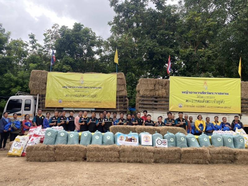 กรมปศุสัตว์เร่งช่วยเหลือผู้เลี้ยงสัตว์ที่ได้รับผลกระทบจากพายุ “คาจิกิ” อย่างเต็มที่