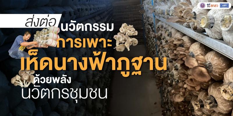 ส่งต่อนวัตกรรมการเพาะเห็ดนางฟ้าภูฐาน ด้วยพลังนวัตกรชุมชน 
