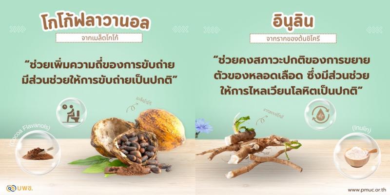 บพข. สำเร็จ! ดัน “โกโก้ฟลาวานอล” และ “อินูลิน” ผ่าน อย. ขึ้นทะเบียน Positive List เคลมสรรพคุณบนฉลากได้ทันที ไม่ต้องขออนุญาตซ้ำ บพข. สำเร็จ! ดัน “โกโก้ฟลาวานอล” และ “อินูลิน” ผ่าน อย. ขึ้นทะเบียน Positive List เคลมสรรพคุณบนฉลากได้ทันที ไม่ต้องขออนุญาตซ้ำ