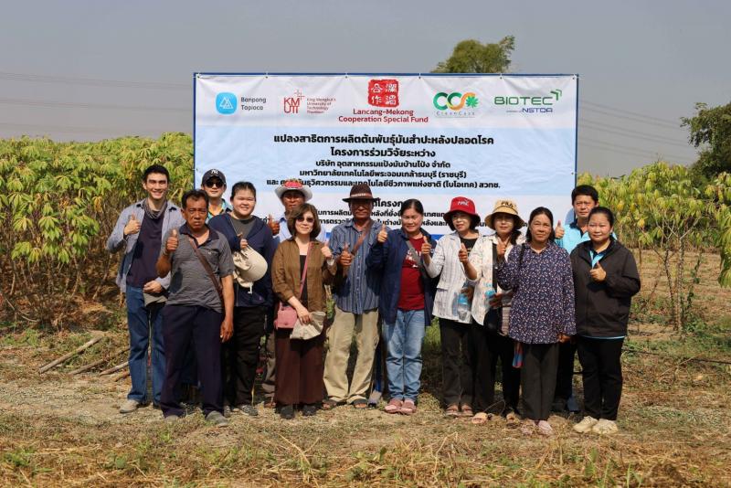 สวทช. ขยายผล “ท่อนพันธุ์สะอาด” สู่ไร่มันสำปะหลัง ในบ้านโป่ง สร้างต้นแบบพื้นที่ หยุดวิกฤตใบด่างด้วยพันธุ์ดี