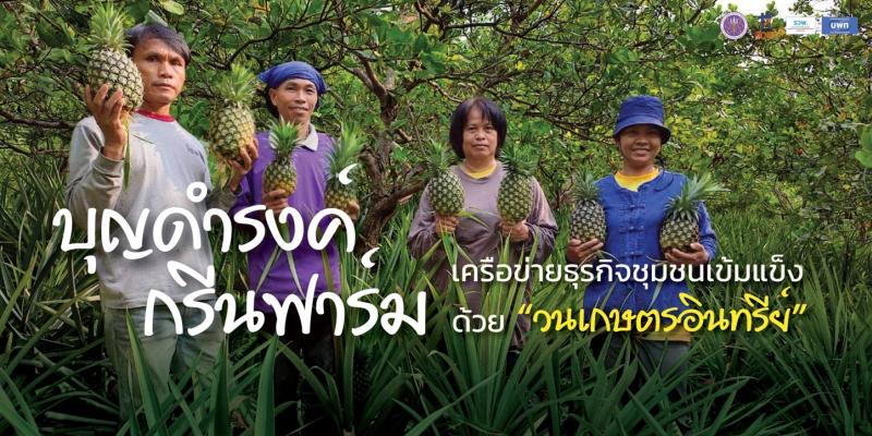 บุญดำรงค์กรีนฟาร์ม  เครือข่ายธุรกิจชุมชนเข้มแข็งด้วย “วนเกษตรอินทรีย์”