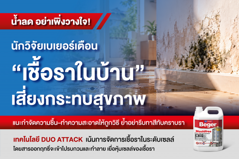 น้ำลด อย่าเพิ่งวางใจ! นักวิจัยเบเยอร์เตือน “เชื้อราในบ้าน” เสี่ยงกระทบสุขภาพ แนะกำจัดความชื้น–ทำความสะอาดให้ถูกวิธี ย้ำอย่ารีบทาสีทับคราบรา