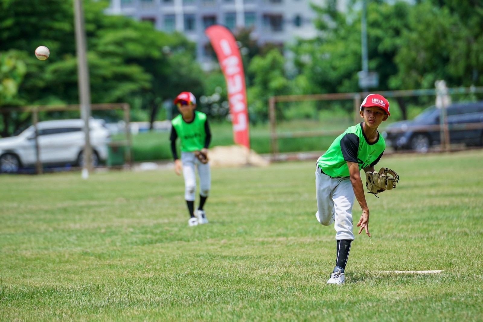 IMAGE - 32477