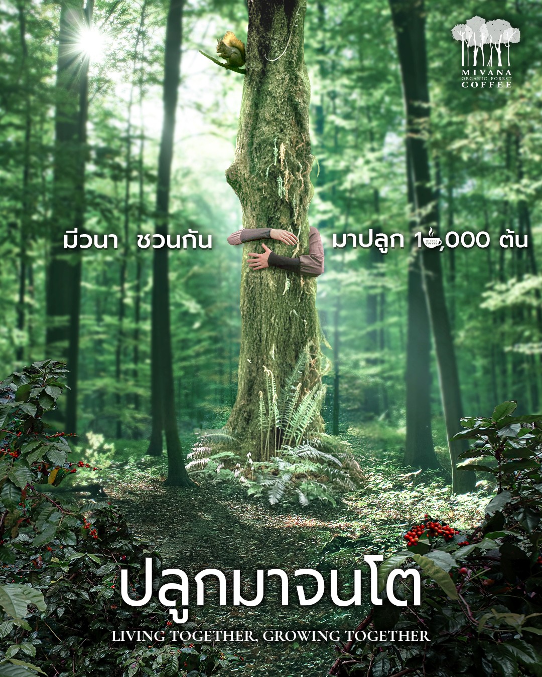 IMAGE - 32507