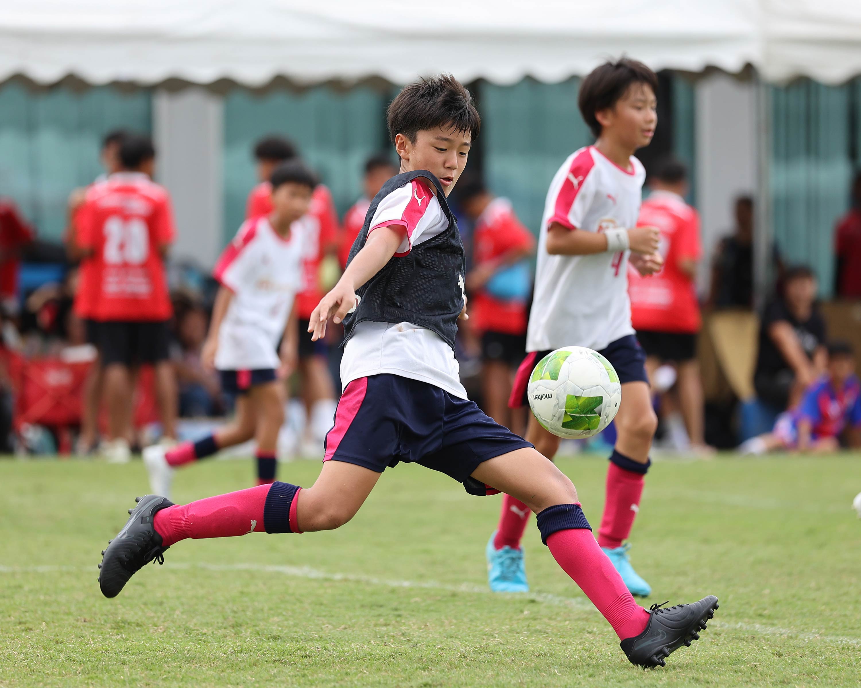 IMAGE - 34354