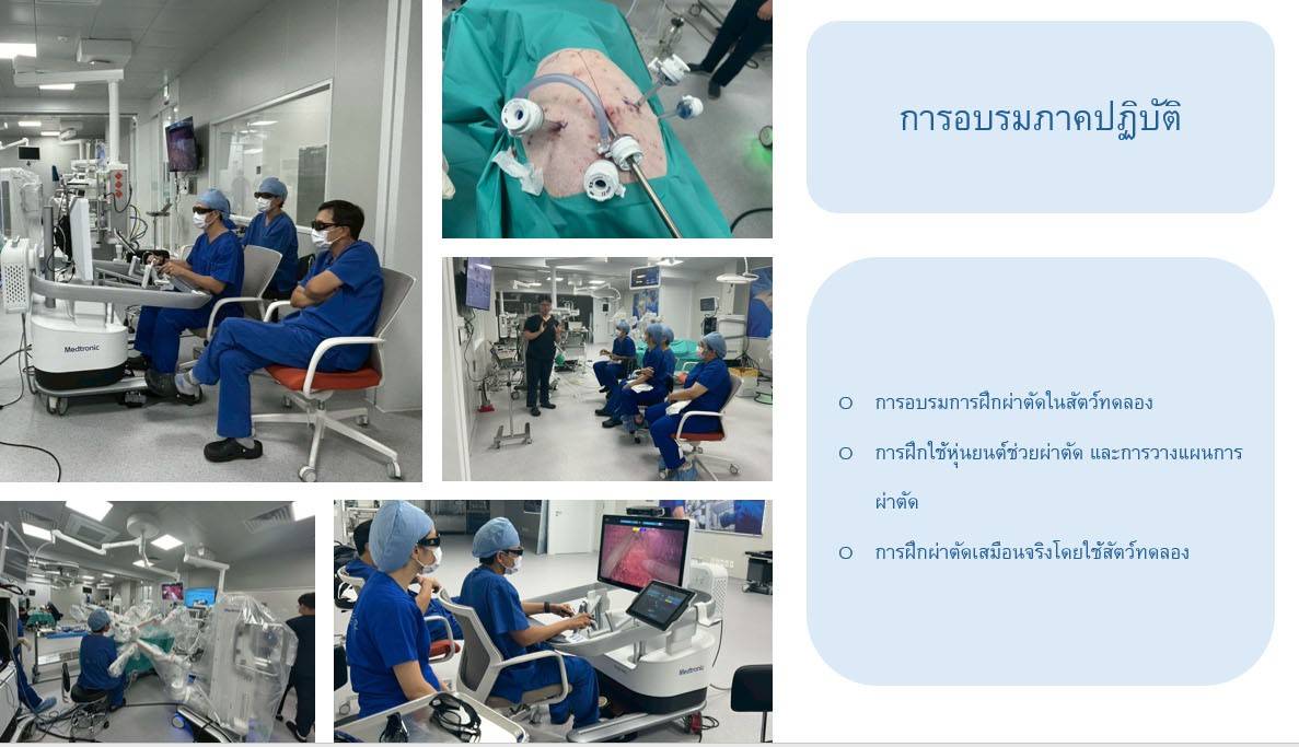 IMAGE - 34382