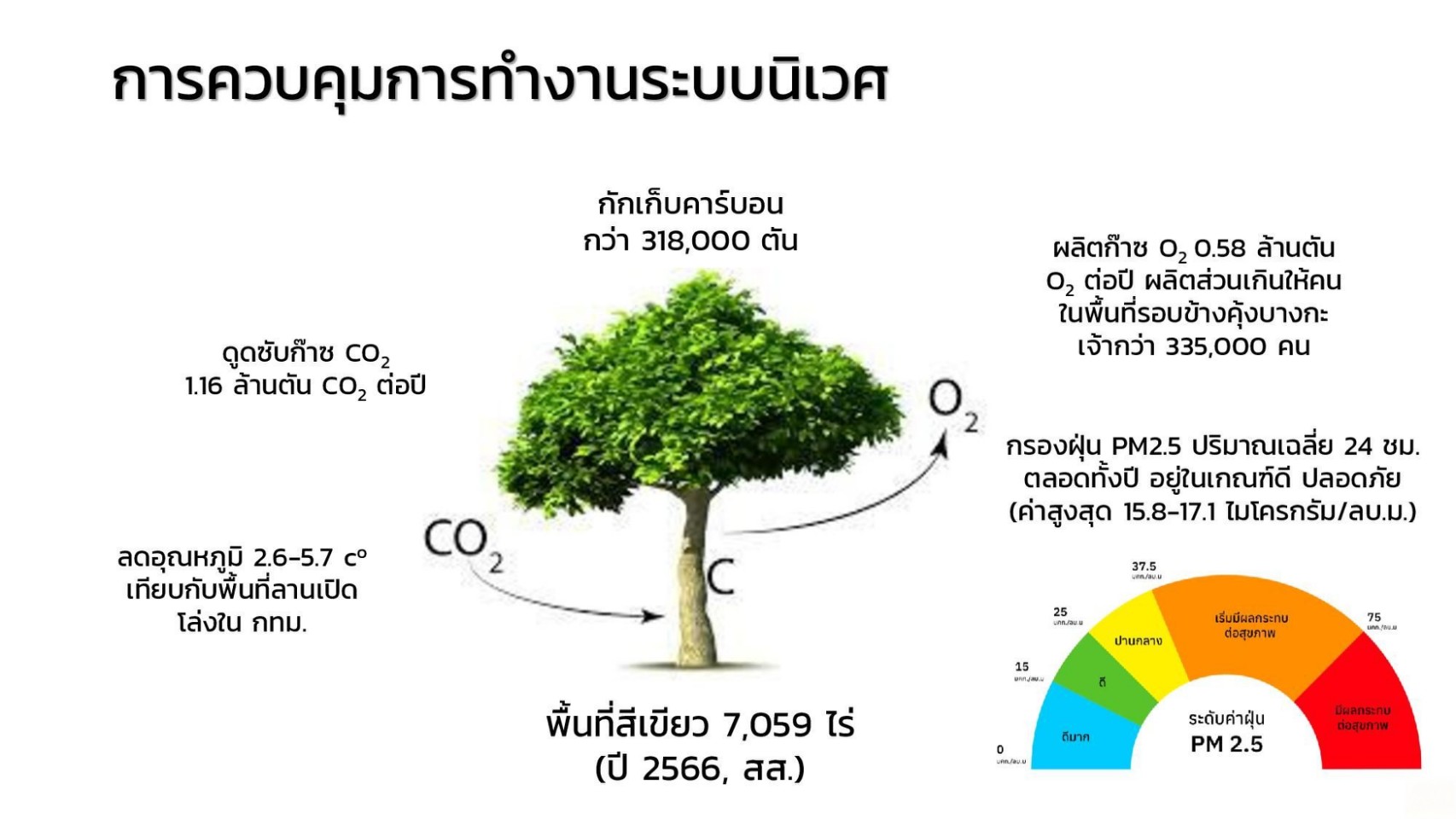 IMAGE - 34454