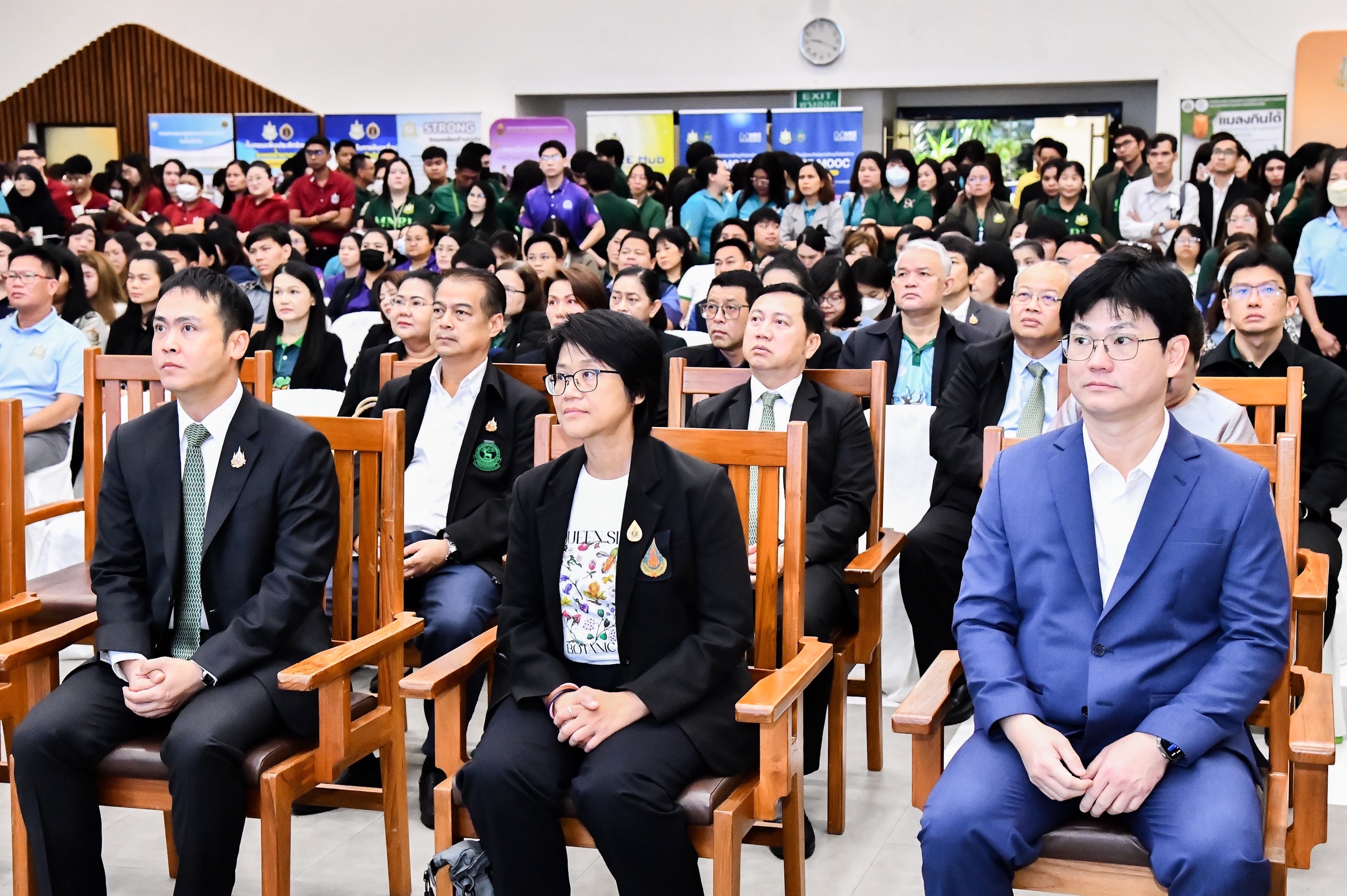 IMAGE - 35291