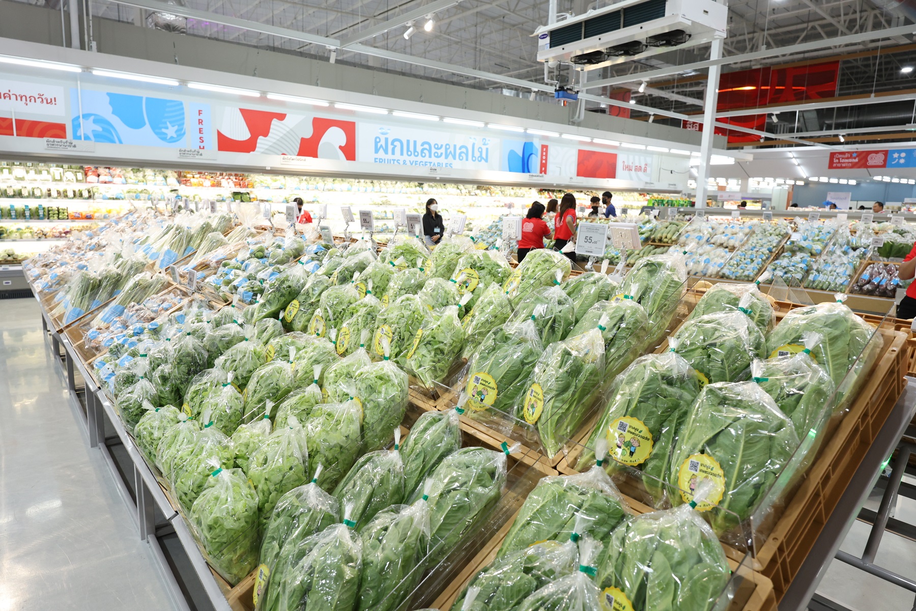 IMAGE - 35894