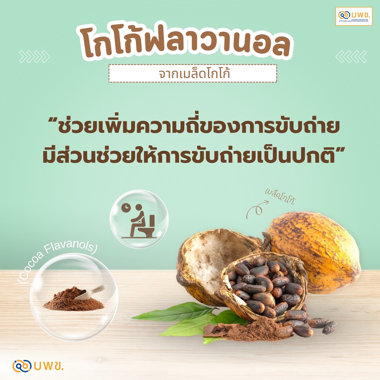 IMAGE - 36295