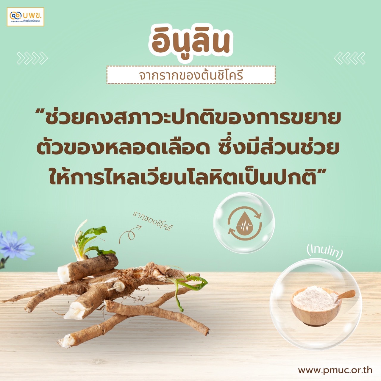 IMAGE - 36296