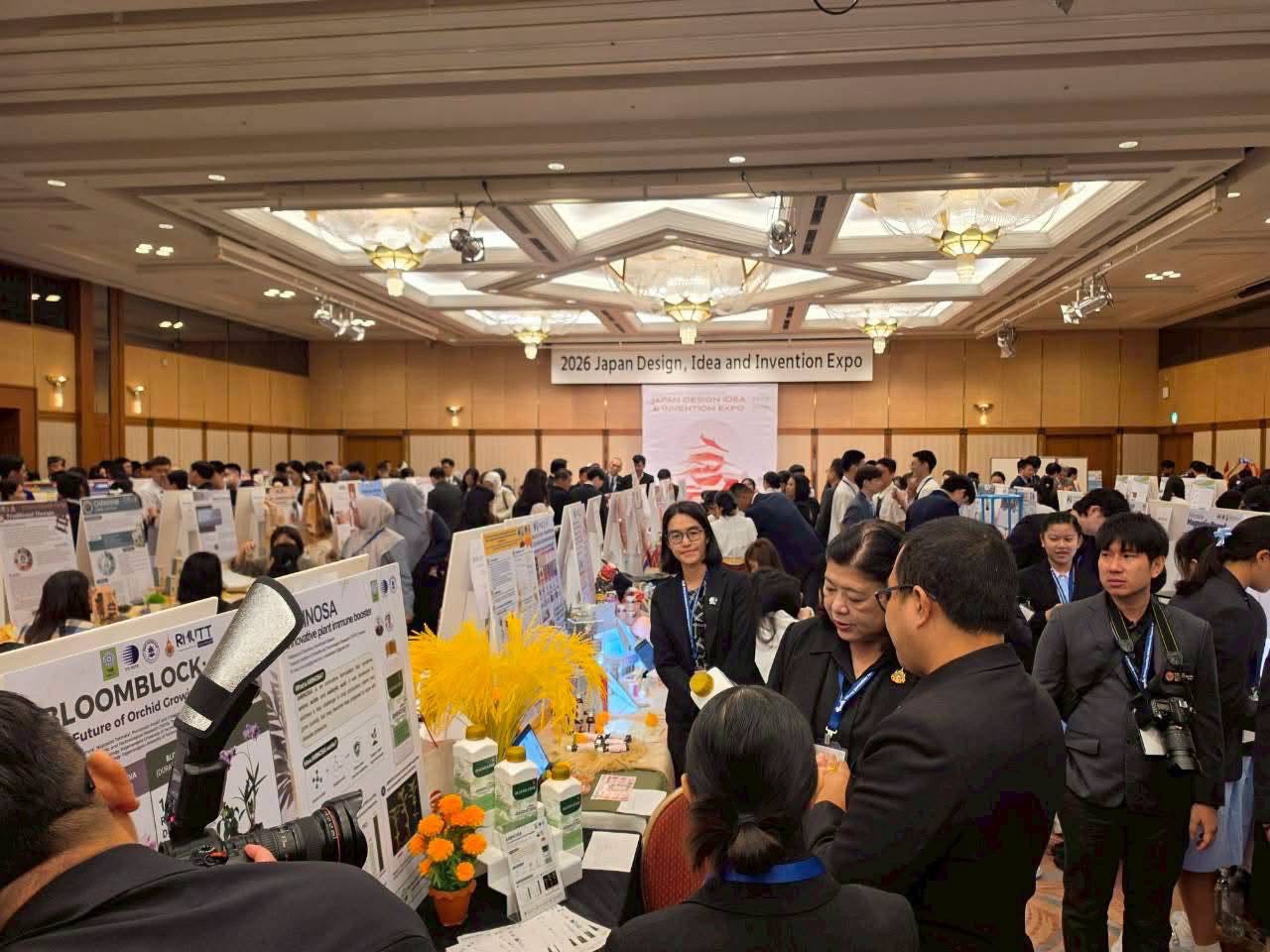 IMAGE - 39971