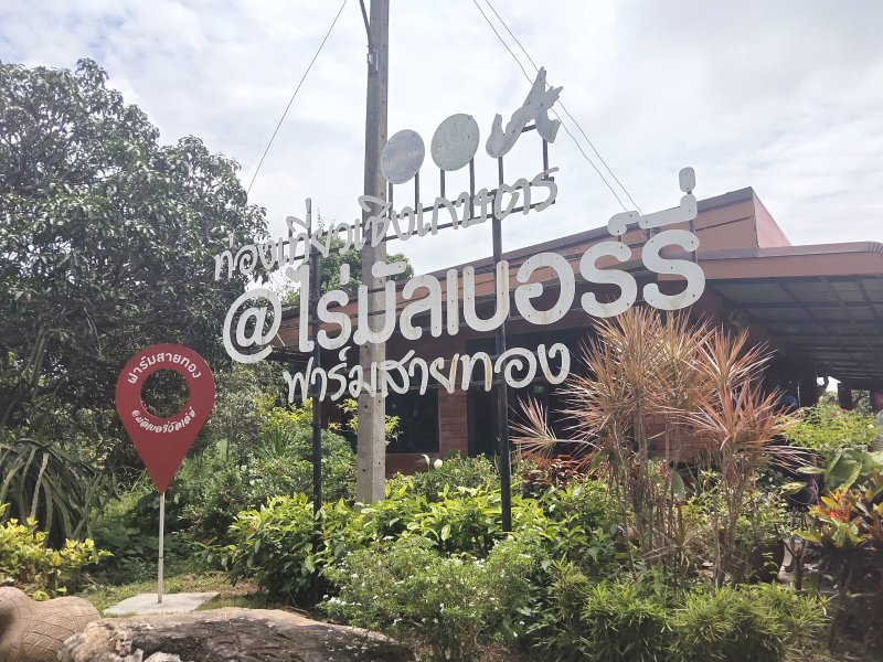 IMAGE - 40837
