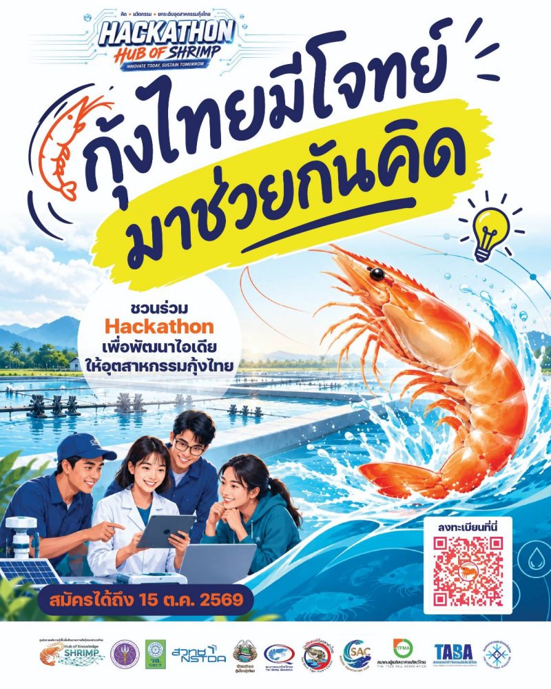 IMAGE - 41003